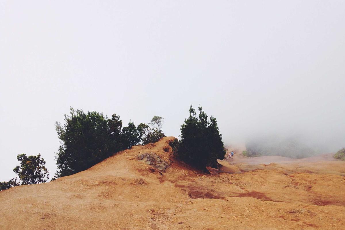 Vivo Naikkan Harga Besar-Besaran, Era HP Murah Meriah yang Layak Beli Mulai Runtuh?