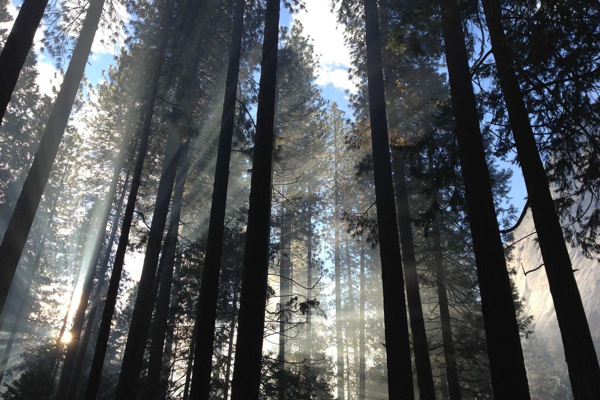 6 HP RAM 12 GB Paling Murah untuk Multitasking Lancar Gaming Mulus