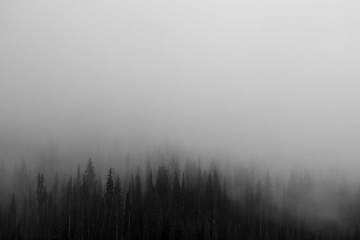 20 Hp di Bawah 2 juta Terbaik, Harga Terbaru di 2025