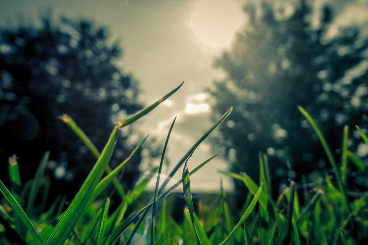 10 Smart TV dan TV Android Terbaik 2026, Harga Murah