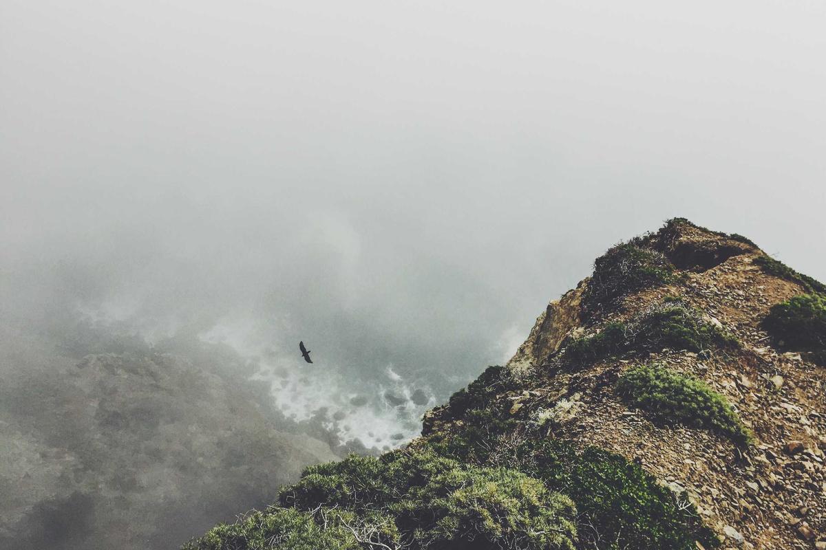 7 HP 5G Murah Spek Kencang 2026 dengan Snapdragon, Performa Gaming dan Multitasking Makin Gila