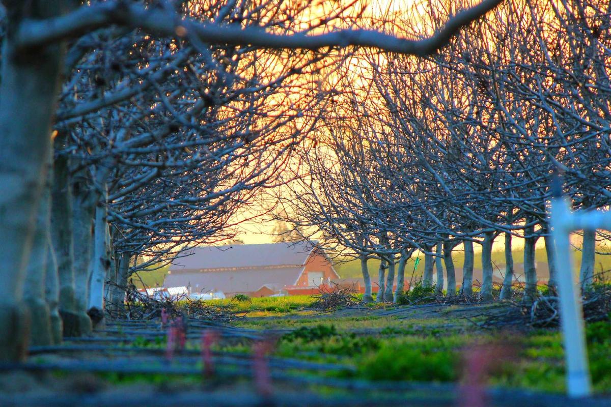 Motorola Ungkap Harga HP Lipat Razr Fold, Lebih Murah dari Rivalnya