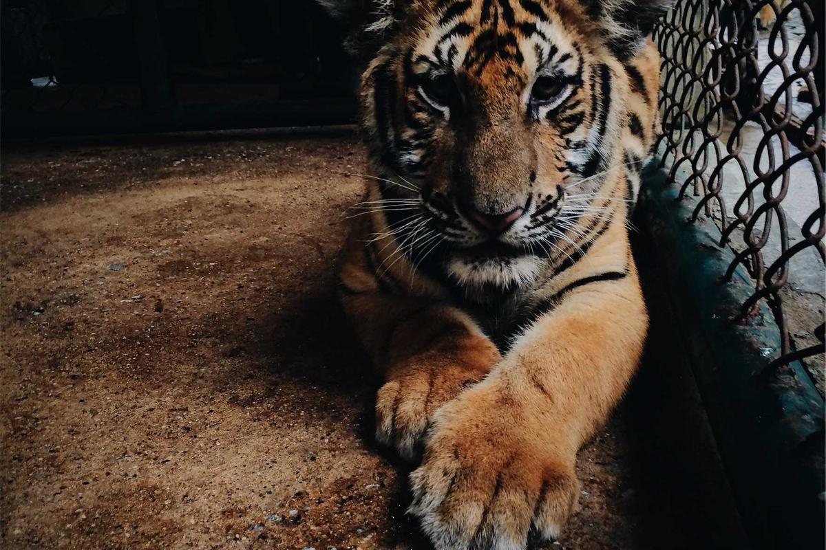 Harga HP Oppo Terbaru Murah Berkualitas April 2026: Cek Spesifikasi dan Mitos vs Fakta!